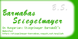 barnabas stiegelmayer business card